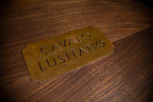 CAVALO LUSITANO: The Spirit Within - Fine Press Edition