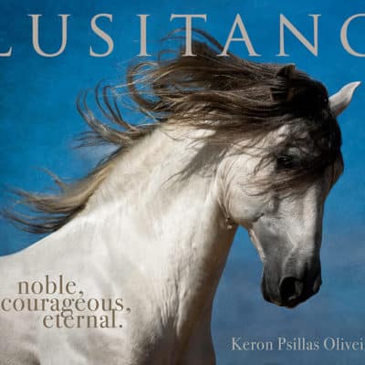 Lusitano