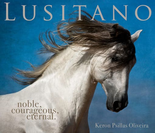 Lusitano