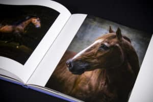 "LUSITANO: NOBLE, COURAGEOUS, ETERNAL" LIMITED EDITION TRADE PRESS BOOK