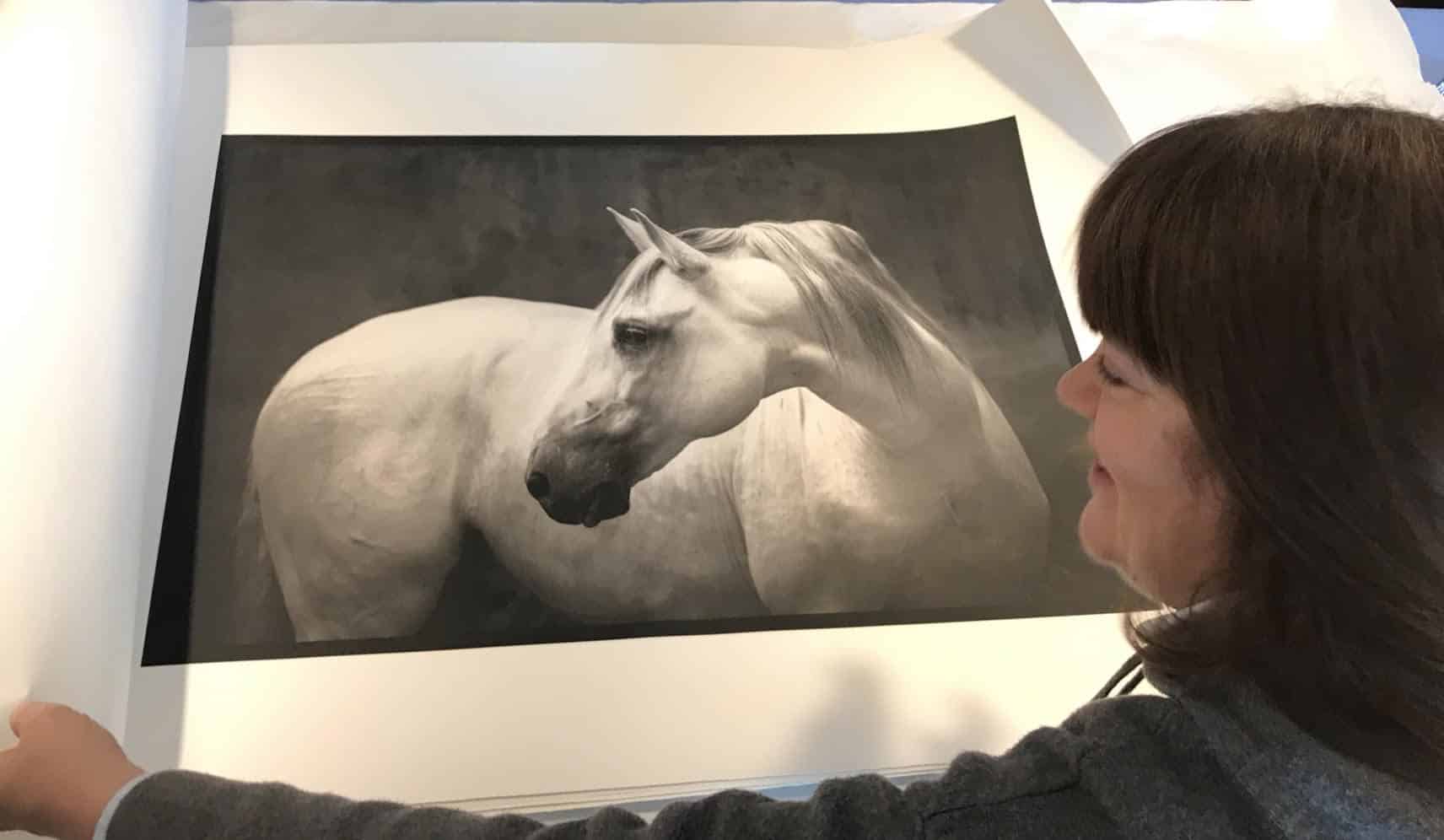 keron Psillas - Lusitano Print keron Psillas - Lusitano Print