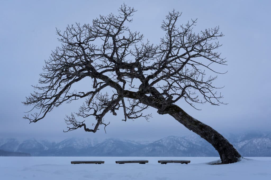 Hokkaido