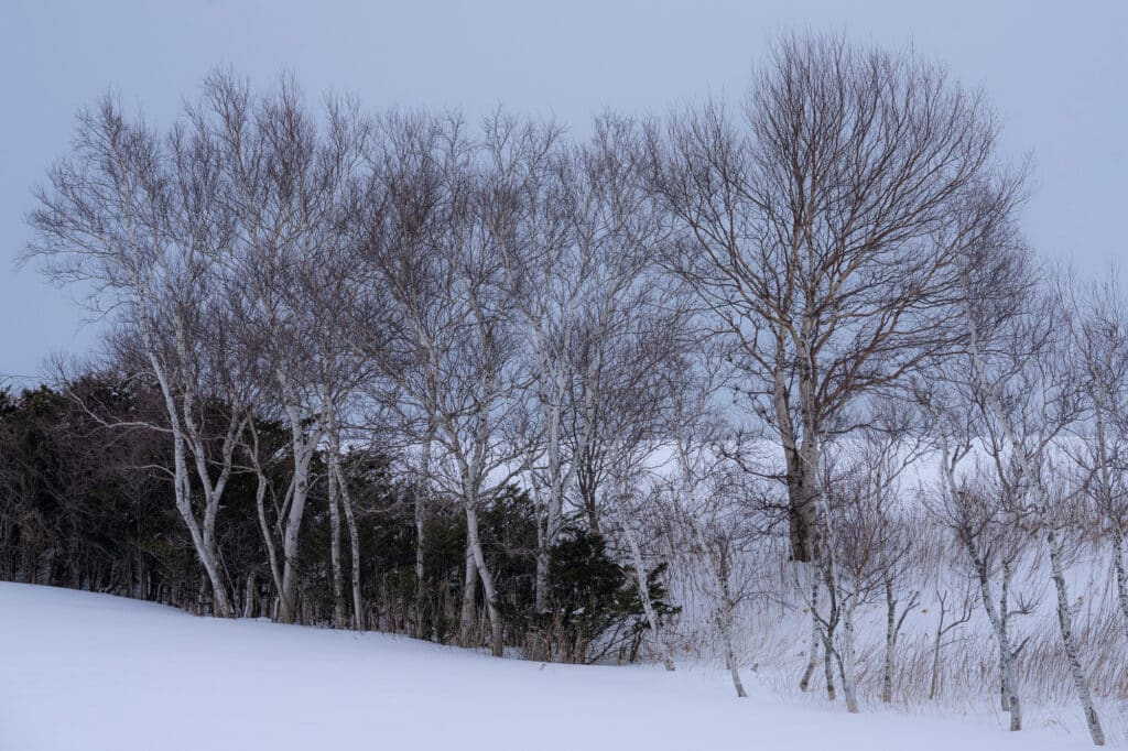 Hokkaido