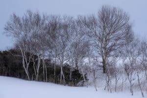 Hokkaido