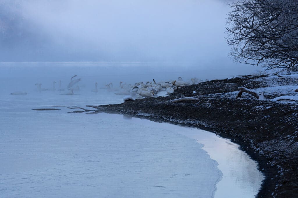 Hokkaido