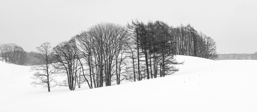 Hokkaido