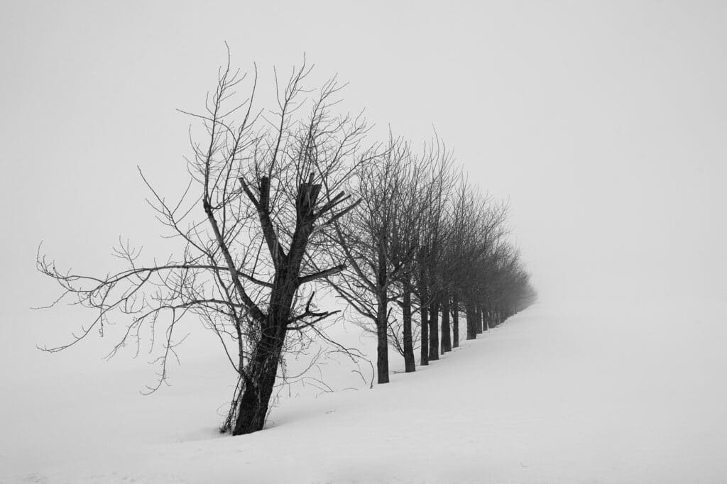 Hokkaido