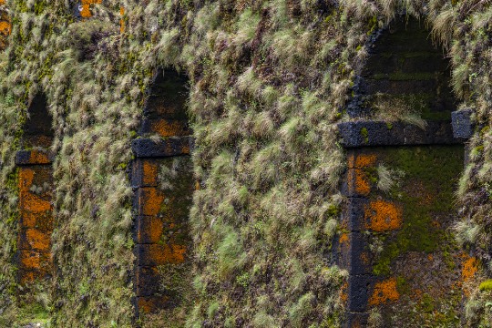 Islands 2027 Islands 2027